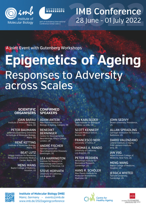 Epigenetics of Ageing: Responses to Adversity across Scales